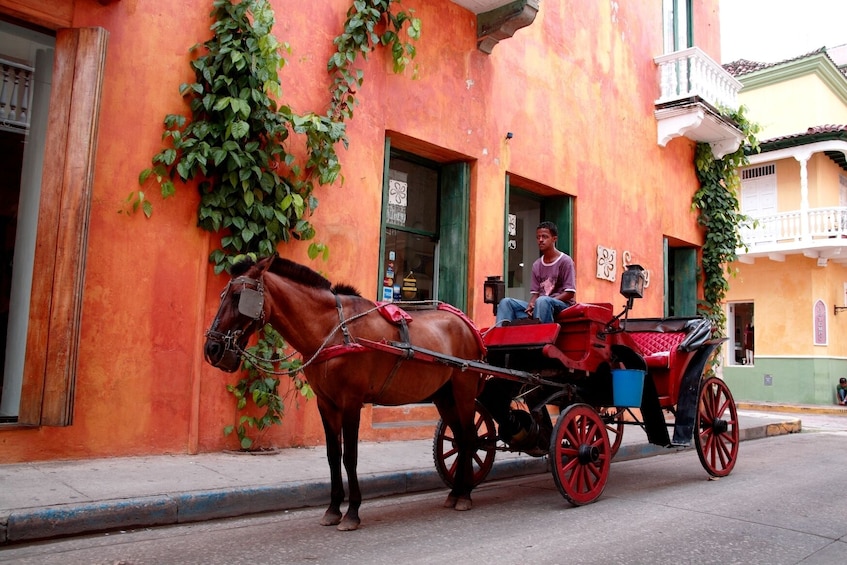 Horse Carriage Ride with Dinner