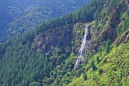 Waterfall Hunting- Bambarakanda & Lanka Falls + Natural Pool Bath