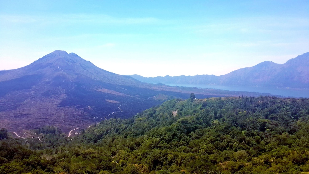 the green and mountainous landscape in Bali