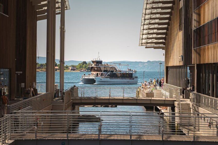 Guided Oslo Fjord Cruise by Silent Electric Catamaran