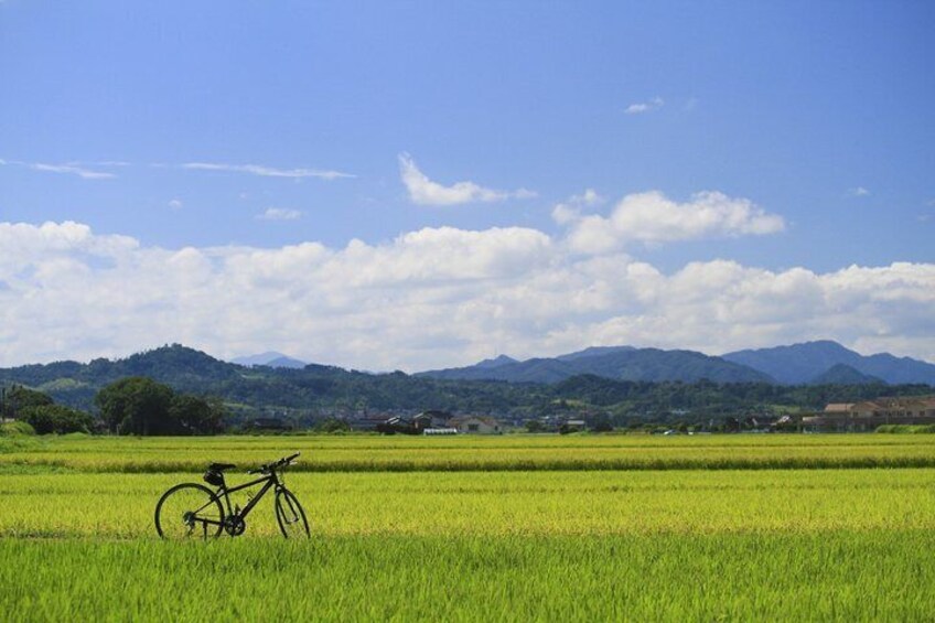 Walking & cycling