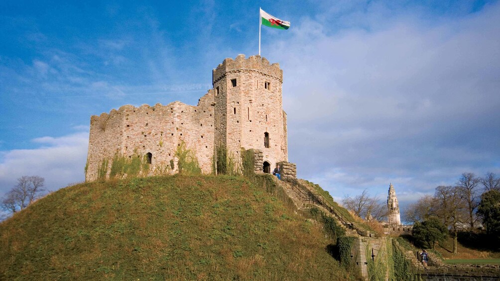 Show item 4 of 9. castle in cardiff