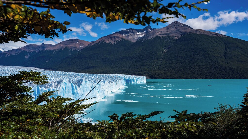 El Calafate: All Glaciers Tour with Navigation