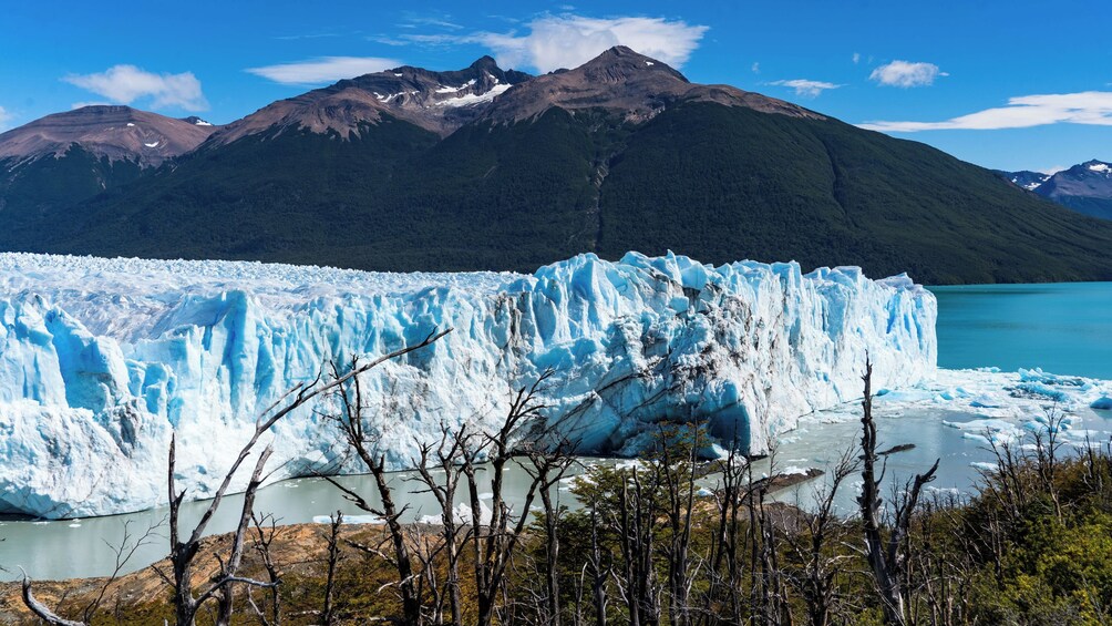 El Calafate: All Glaciers Tour with Navigation