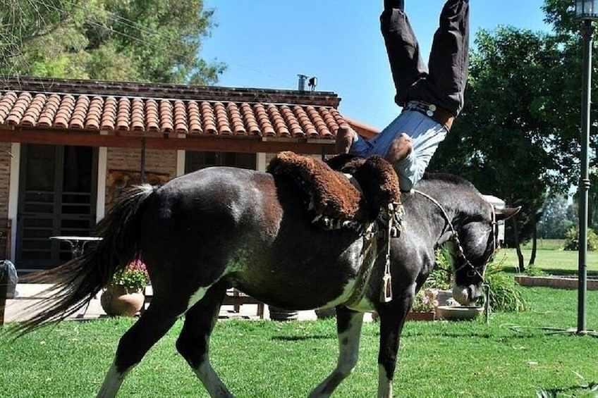 2 Days and 1 Night in Areco