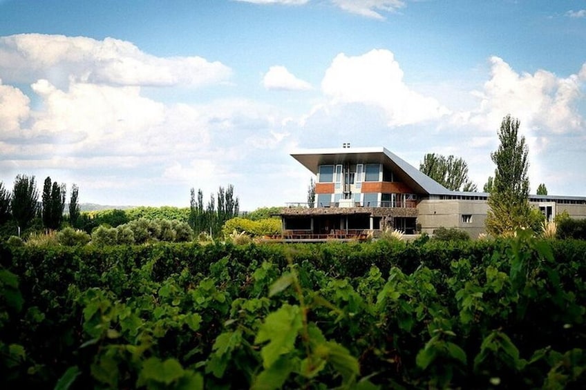Private Day in Mendoza Winery with Airfare from Buenos Aires