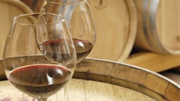 Wine Tasting in Cezanne Country