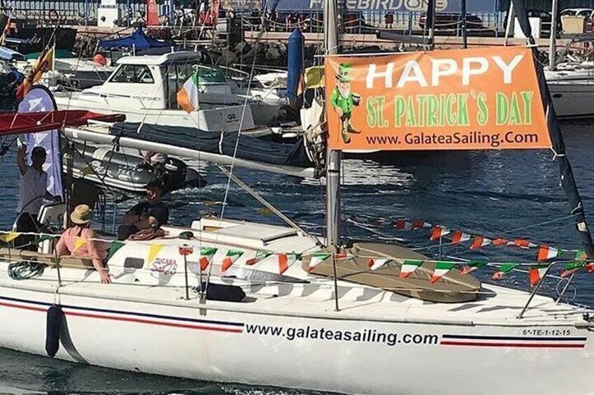 Whale and Dolphin Small Group Sailing from Tenerife South