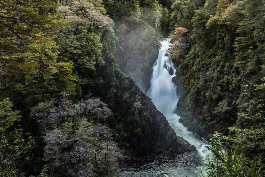 Half day Hua Hum and Chachin land waterfall - San Martín de los Andes