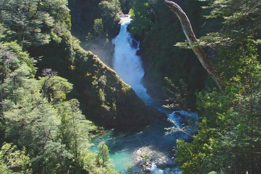 Half day Hua Hum and Chachin land waterfall - San Martín de los Andes