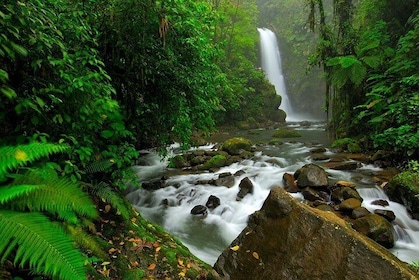 Costa Rica Highlights 8D/7N Vacation Package