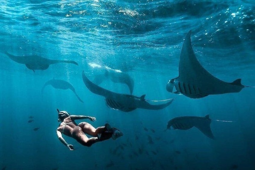 Snorkeling Safari in Penida Island with Pickup
