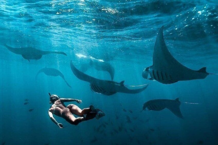 Snorkeling Safari in Penida Island with Pickup
