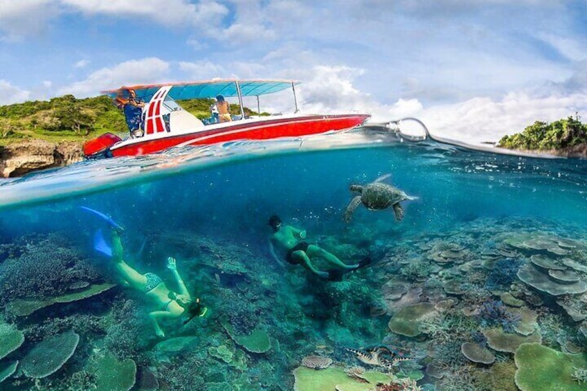 Snorkeling Manta Ray Safari in Nusa Penida