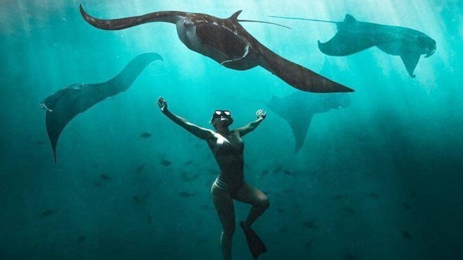 Snorkeling Manta Ray Safari in Nusa Penida