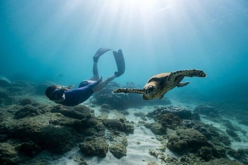 Snorkeling Manta Ray Safari in Nusa Penida