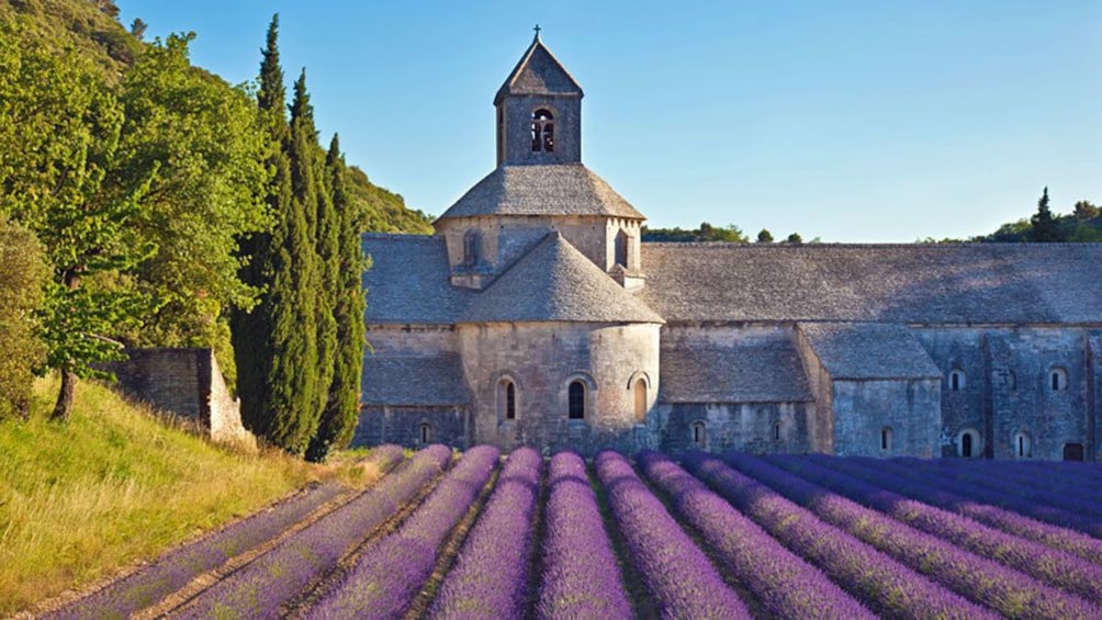 Charger l’élément 1 sur 6. lavender field outside of an old church building in Provence