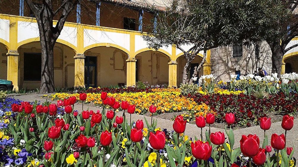 Charger l’élément 1 sur 6. vibrant tulips inside a garden in Provence