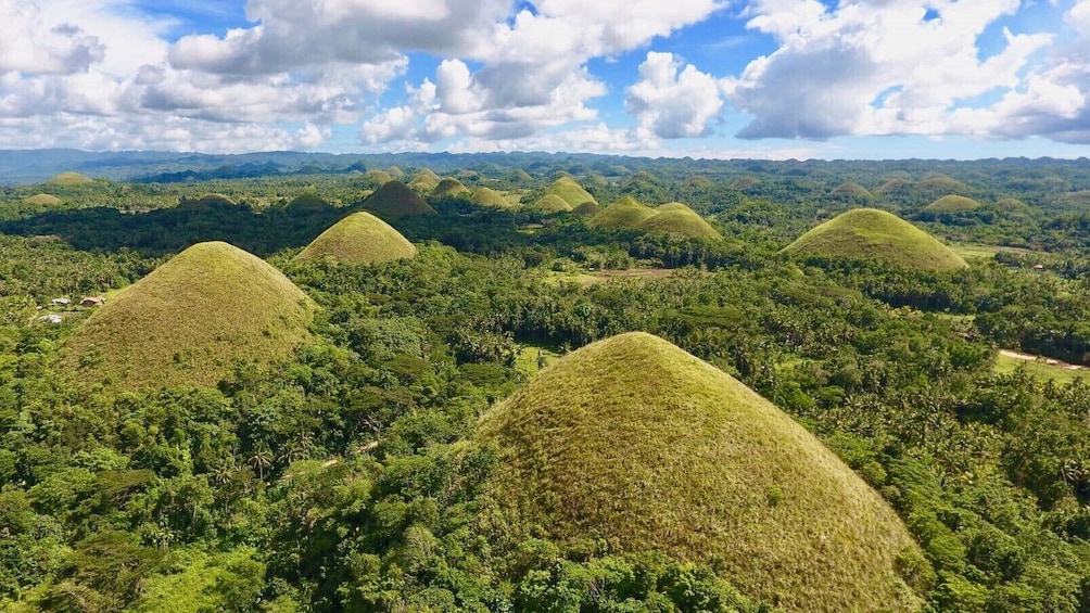 2-in-1 Combo: Bohol Countryside with Panglao Tour
