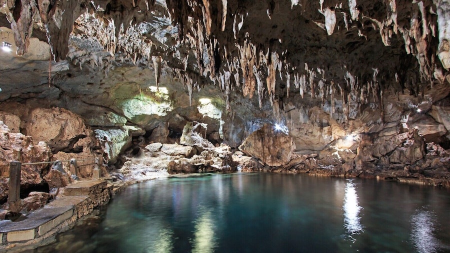 2-in-1 Combo: Bohol Countryside with Panglao Tour