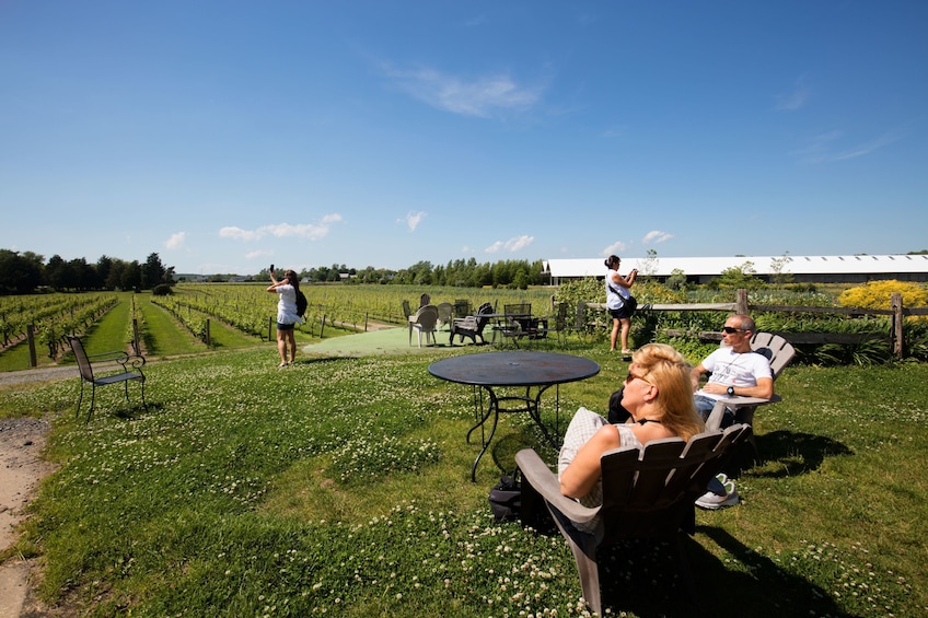 The Hamptons, Sag Harbor & Outlet Shopping Day Trip from NYC