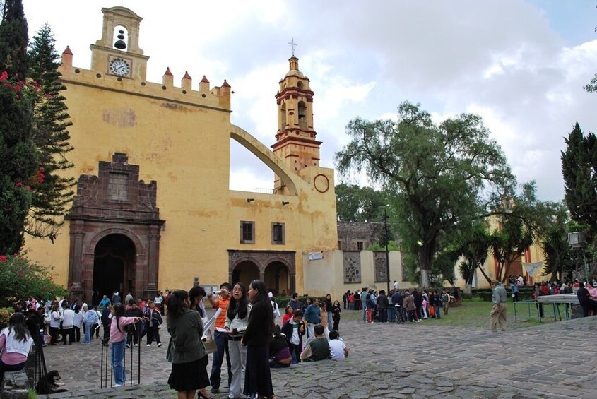 Mexico City: "All Around Xochimilco" Private Tour