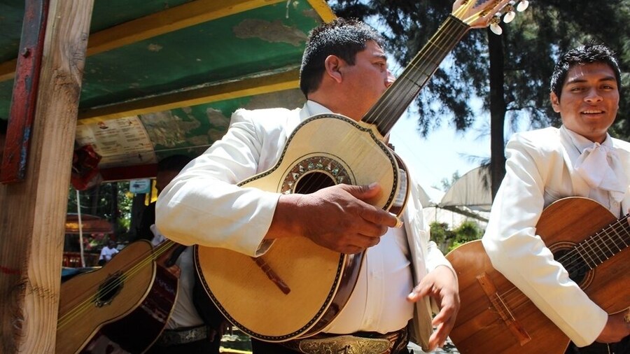 Mexico City: "All Around Xochimilco" Private Tour