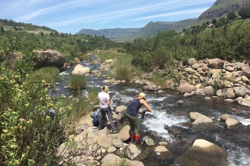 Hiking Tour to Drakensberg Mountains from Johannesburg