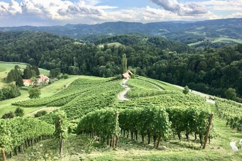Show item 2 of 6. Full-Day Private Tour from Zagreb to Slovenian Styria