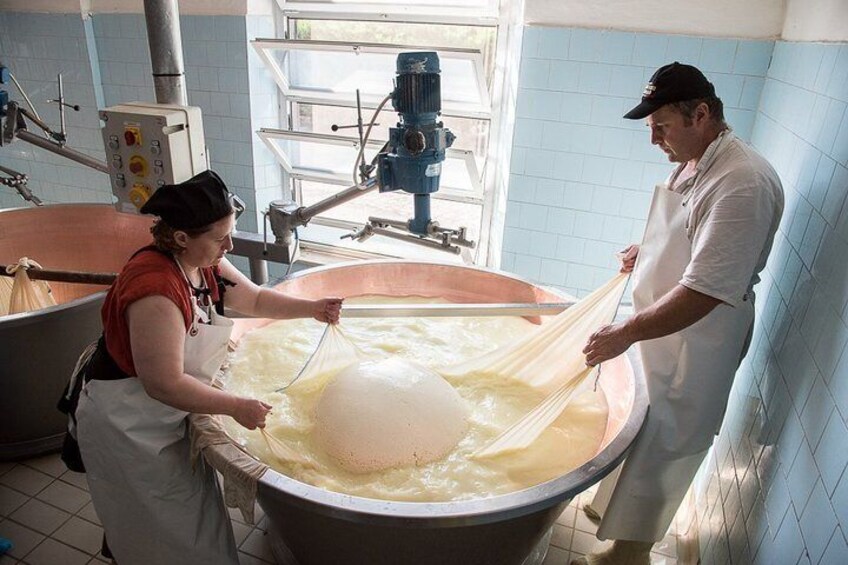 Taste and Drive in Parma: small-group food tour