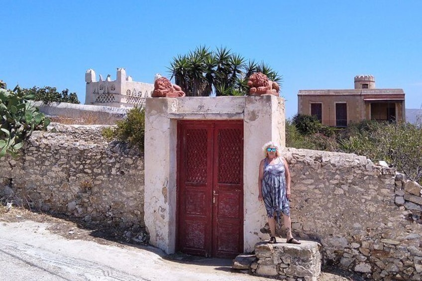 Half-Day Private Guided Tour in Mykonos