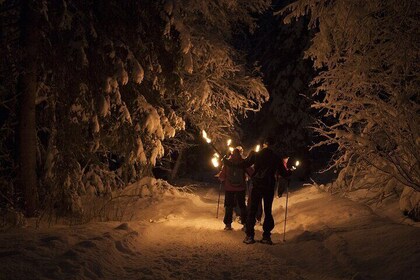 Dinner in a mountain refuge with Snowshoeing under the stars