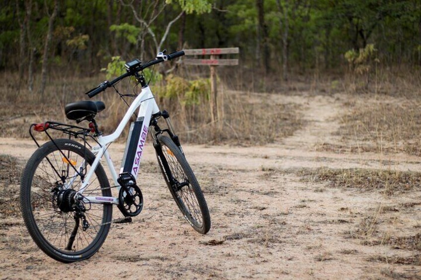 Mukuvisi Woodlands Afternoon Electric Bicycle Tour and Sunset Picnic