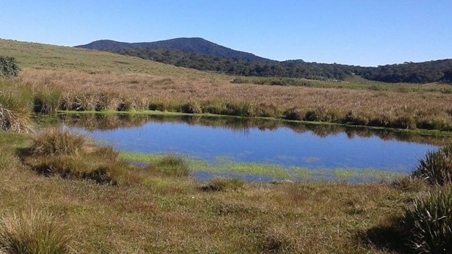 Visit Horton Plains National Park.