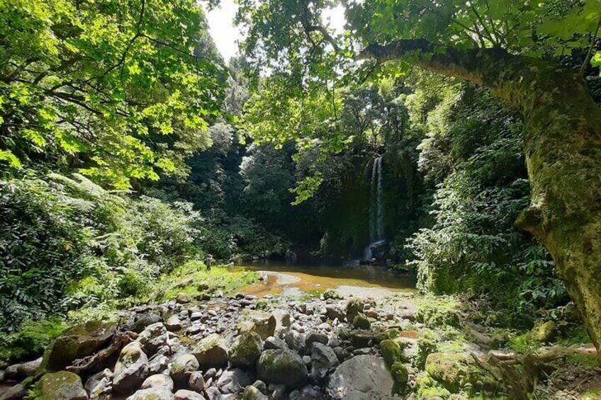 Half Day Hike Waterfalls Moinho do Felix with tea plantation