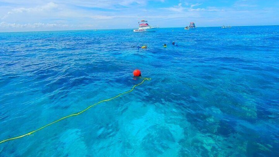 Molasses Reef Key Largo, FL