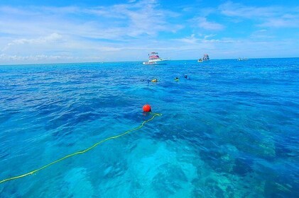 Eine einzigartige private Schnorcheltour durch Key Largo