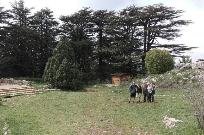Cedars of God - Bcharre