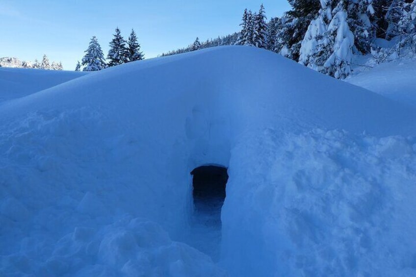 Build your own Igloo!