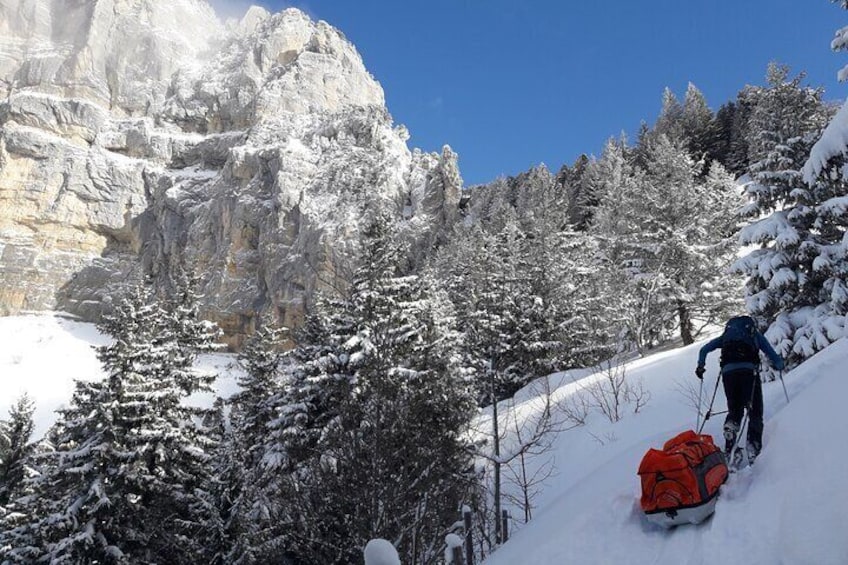 Build your own Igloo!