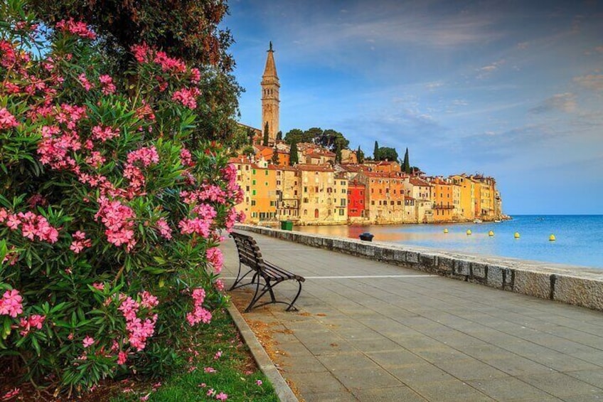 Majestic guided walking tour in Rovinj