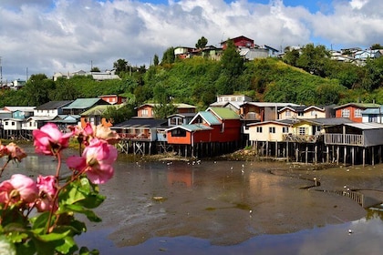 Premium Full Day Shared Tour to Chiloé: Chacao, Castro and Dalcahue