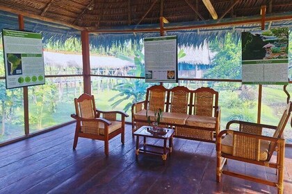 4-Day Amazon Rainforest Exploration at Curassow Amazon Lodge