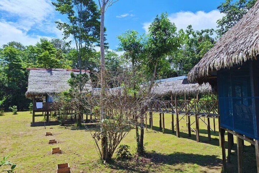 Bungalows Curassow Amazon Lodge