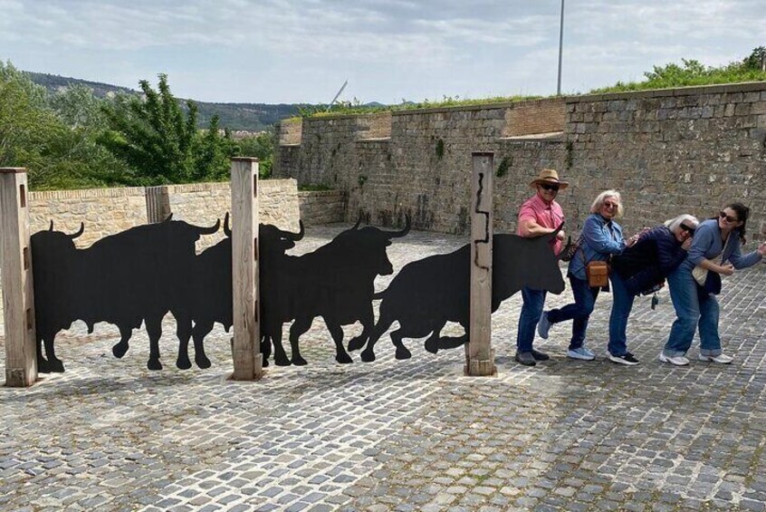 Beyond the Running of the Bulls: private Pamplona Tour & lunch 