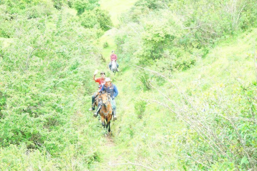 Roses & Horses Ride PRIVATE Day Trip from Quito