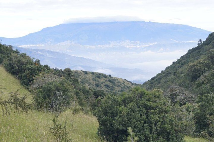 Roses & Horses Ride PRIVATE Day Trip from Quito