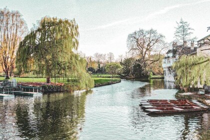 Cambridge Riverside Walk Fra Queen's College til Trinity College