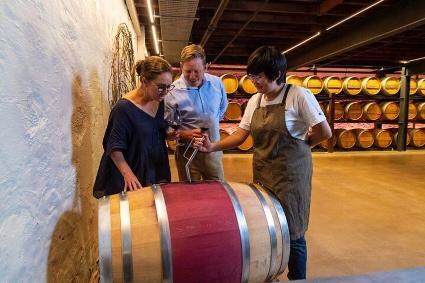 Yalumba Siphoning Wine From Barrel