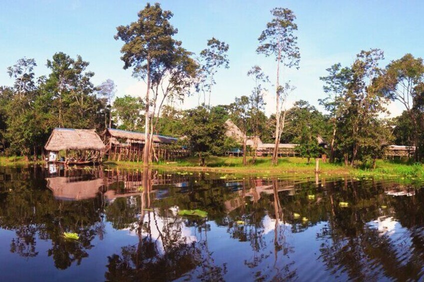 6-Day Wildlife, Exploration & Camping at Curassow Amazon Lodge